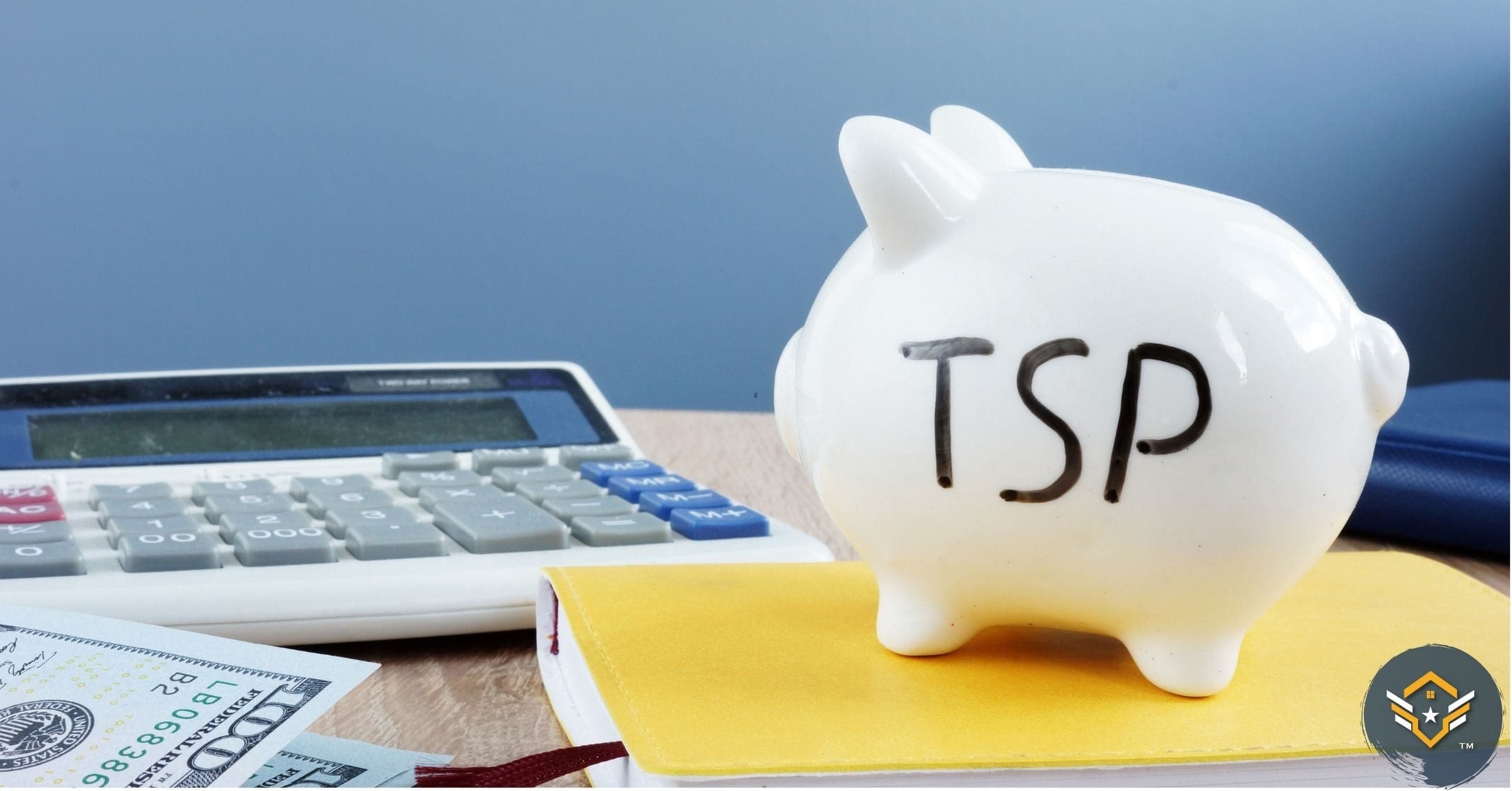 11 Pros & Cons of a TSP Loan